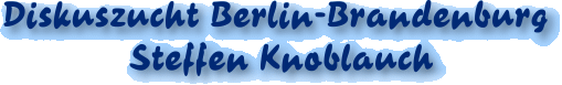 Diskuszucht Berlin-Brandenburg Steffen Knoblauch